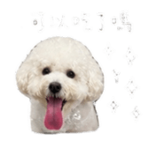 848234355