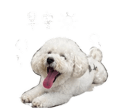 848234356