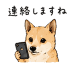 848239628