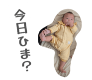 848248161