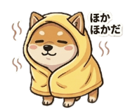 848250600