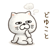 848252427