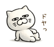 848252429