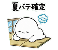 848252543