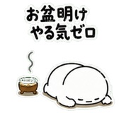 848252554