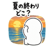 848252556
