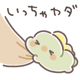 848253428