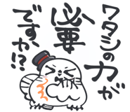 848255016
