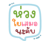 848260113