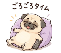 848260811