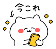 848260985