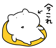 848260994