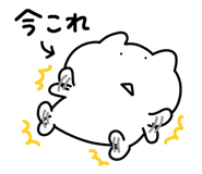 848261011