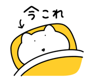 848261022