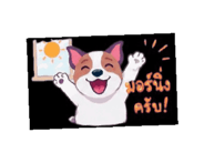 848264553