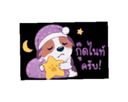 848264554