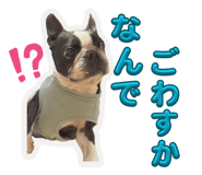 848285128