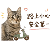 848301244
