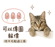 848301247