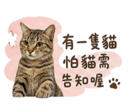 848301260