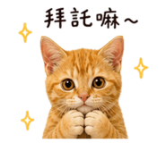 848327100