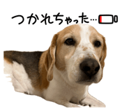 848330001