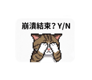 848338344