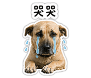 848341633