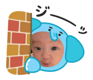 848342628