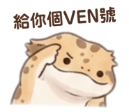 848346446