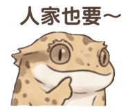 848346447
