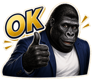 848347638