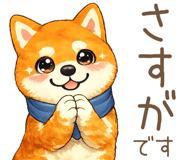 848348100