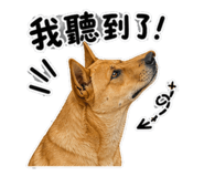 848349830