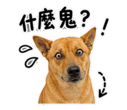 848349832