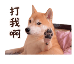 848354538
