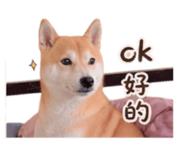 848354540