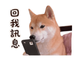 848354545