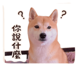 848354553