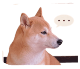 848354555