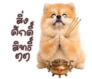 848355346