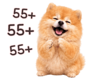 848355348