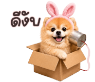 848355351