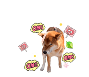 848373002
