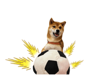 848373005
