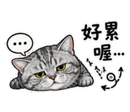 848373800