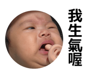 848383161