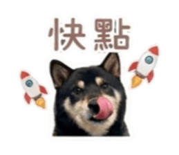 848385016