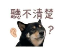 848385019