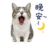 848388778